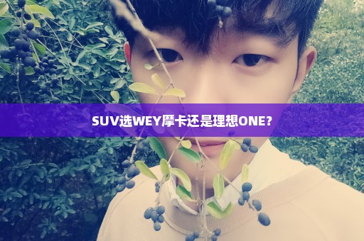 SUV选WEY摩卡还是理想ONE？