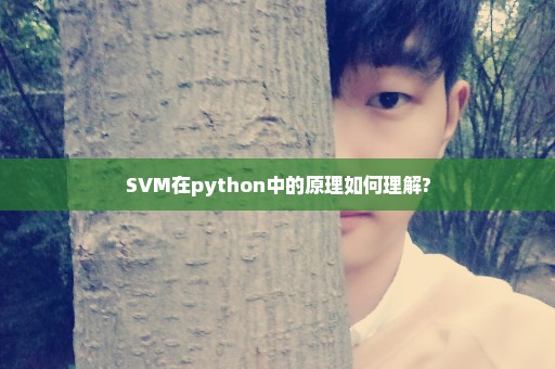 SVM在python中的原理如何理解?