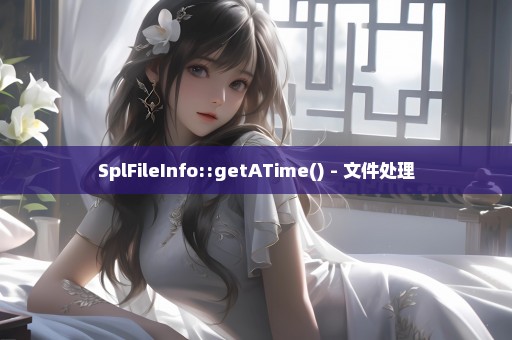 SplFileInfo::getATime() - 文件处理