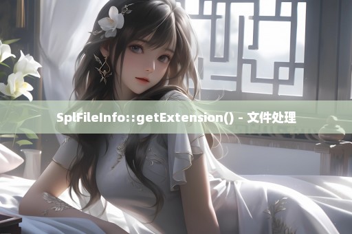 SplFileInfo::getExtension() - 文件处理