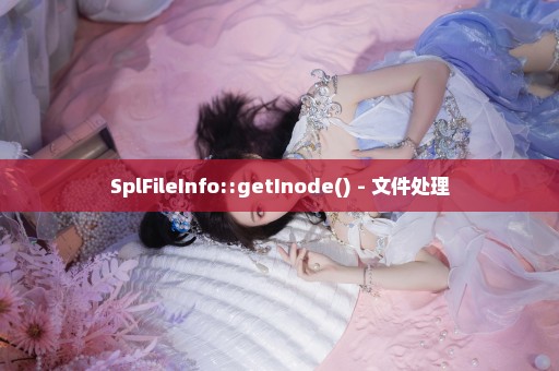 SplFileInfo::getInode() - 文件处理