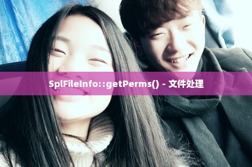 SplFileInfo::getPerms() - 文件处理