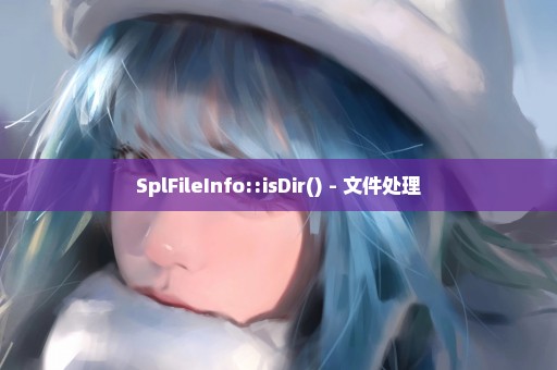 SplFileInfo::isDir() - 文件处理