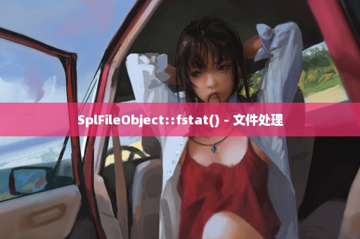 SplFileObject::fstat() - 文件处理