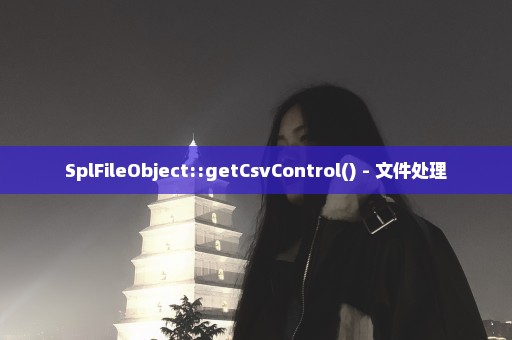 SplFileObject::getCsvControl() - 文件处理