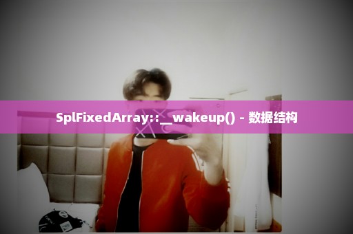 SplFixedArray::__wakeup() - 数据结构