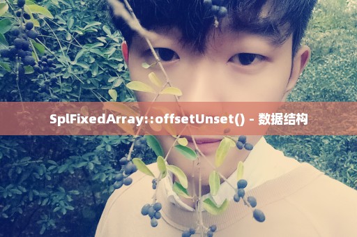 SplFixedArray::offsetUnset() - 数据结构