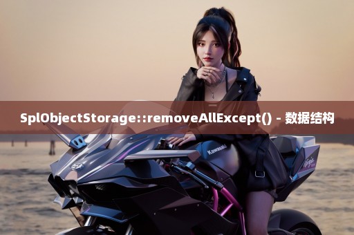 SplObjectStorage::removeAllExcept() - 数据结构