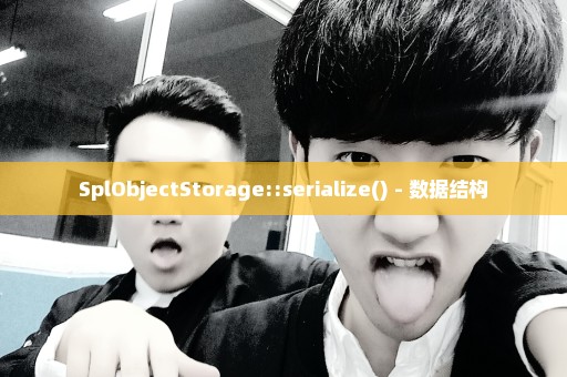 SplObjectStorage::serialize() - 数据结构