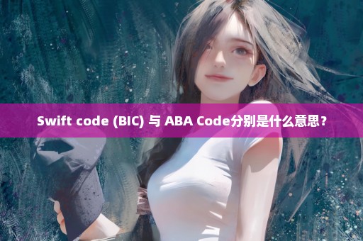 Swift code (BIC) 与 ABA Code分别是什么意思？