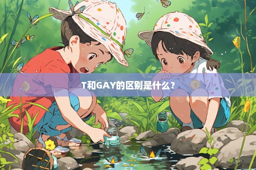 T和GAY的区别是什么？