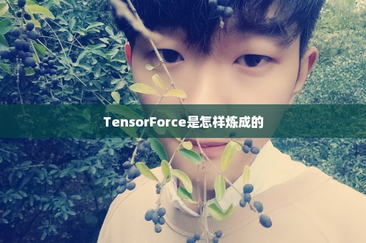 TensorForce是怎样炼成的