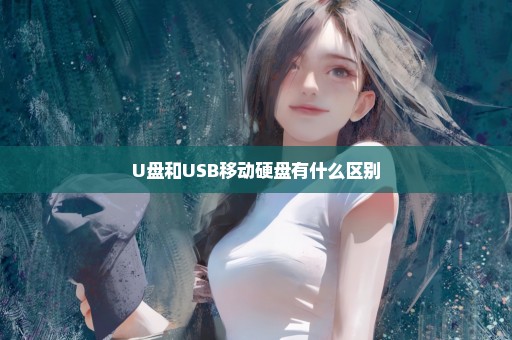 U盘和USB移动硬盘有什么区别