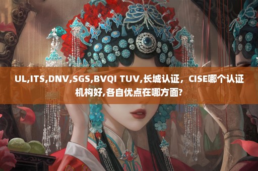 UL,ITS,DNV,SGS,BVQI TUV,长城认证，CISE哪个认证机构好,各自优点在哪方面?