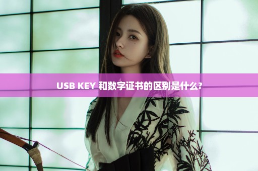 USB KEY 和数字证书的区别是什么?