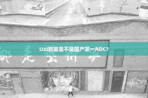 Uzi到底是不是国产第一ADC？