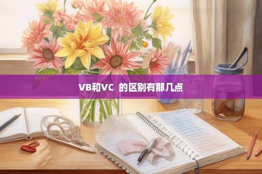 VB和VC++的区别有那几点