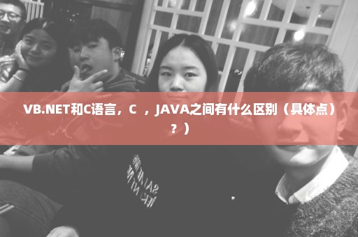 VB.NET和C语言，C++，JAVA之间有什么区别（具体点）？）