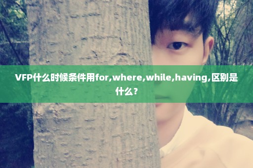 VFP什么时候条件用for,where,while,having,区别是什么？