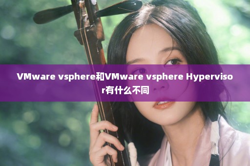 VMware vsphere和VMware vsphere Hypervisor有什么不同