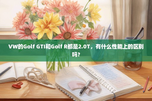 VW的Golf GTI和Golf R都是2.0T，有什么性能上的区别吗？