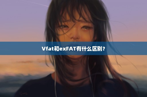 Vfat和exFAT有什么区别？