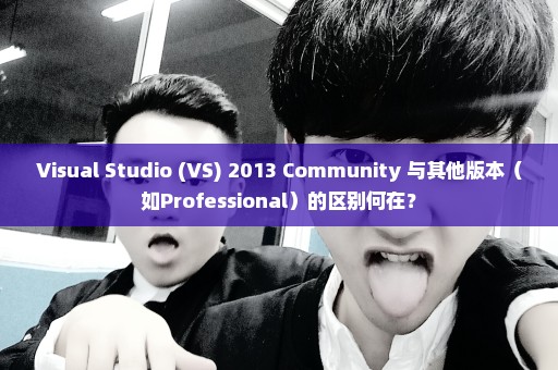 Visual Studio (VS) 2013 Community 与其他版本（如Professional）的区别何在？