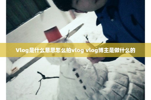 Vlog是什么意思怎么拍vlog vlog博主是做什么的