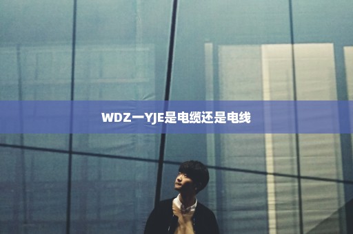 WDZ一YJE是电缆还是电线