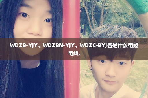 WDZB-YJY、WDZBN-YJY、WDZC-BYJ各是什么电缆电线,