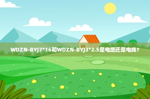 WDZN-BYJ7*16和WDZN-BYJ3*2.5是电缆还是电线？