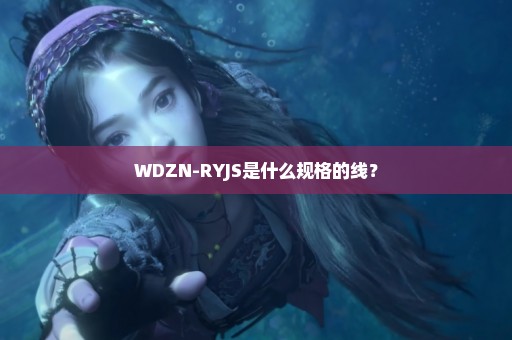 WDZN-RYJS是什么规格的线？