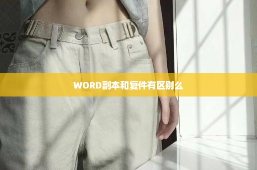 WORD副本和复件有区别么