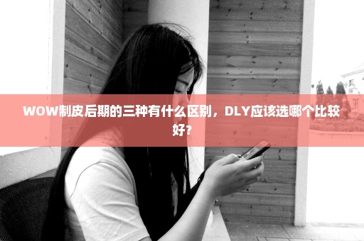 WOW制皮后期的三种有什么区别，DLY应该选哪个比较好？