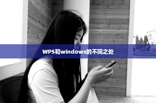 WPS和windows的不同之处