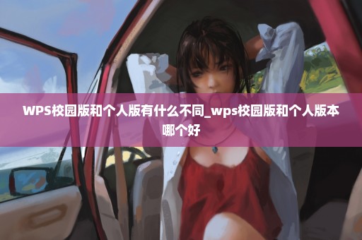 WPS校园版和个人版有什么不同_wps校园版和个人版本哪个好