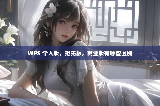 WPS 个人版，抢先版，商业版有哪些区别