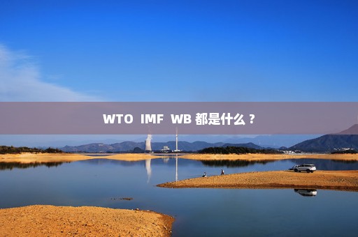 WTO  IMF  WB 都是什么 ?