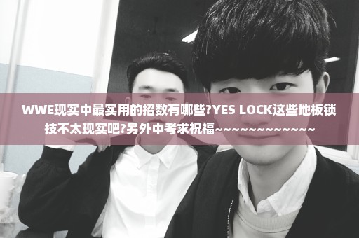 WWE现实中最实用的招数有哪些?YES LOCK这些地板锁技不太现实吧?另外中考求祝福~~~~~~~~~~~~