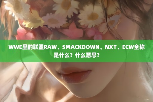 WWE里的联盟RAW、SMACKDOWN、NXT、ECW全称是什么？什么意思？