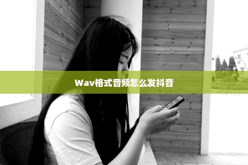 Wav格式音频怎么发抖音