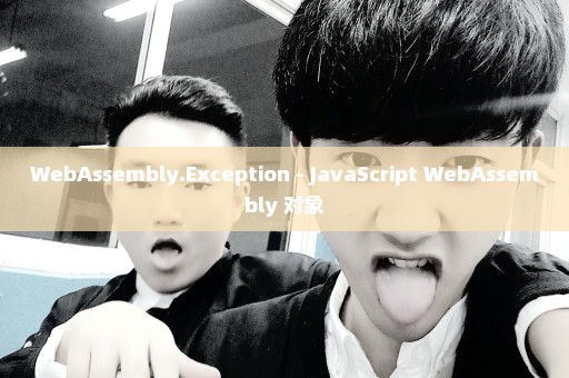 WebAssembly.Exception - JavaScript WebAssembly 对象