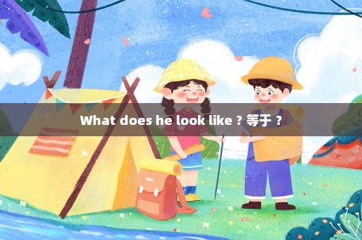 What does he look like ? 等于 ？