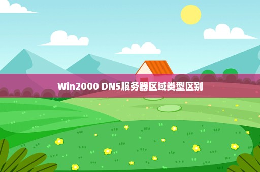 Win2000 DNS服务器区域类型区别