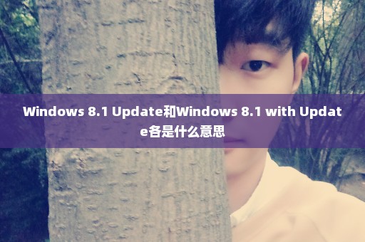 Windows 8.1 Update和Windows 8.1 with Update各是什么意思