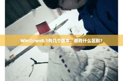 Windows8.1有几个版本，都有什么区别？