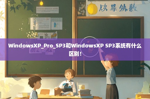 WindowsXP_Pro_SP3和WindowsXP SP3系统有什么区别！