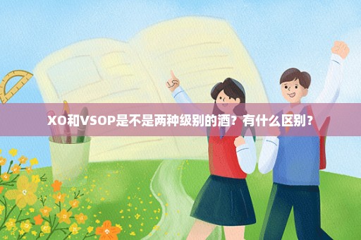 XO和VSOP是不是两种级别的酒？有什么区别？