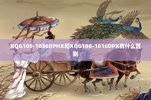 XQG100-1036DPHX和XQG100-1016DPX有什么区别