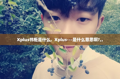 Xplus书柜是什么,  Xplus---是什么意思啊?,,